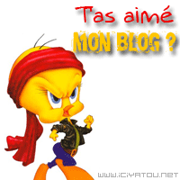 si tu a aimé mon blog.